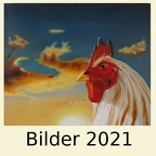 Bilder 2021